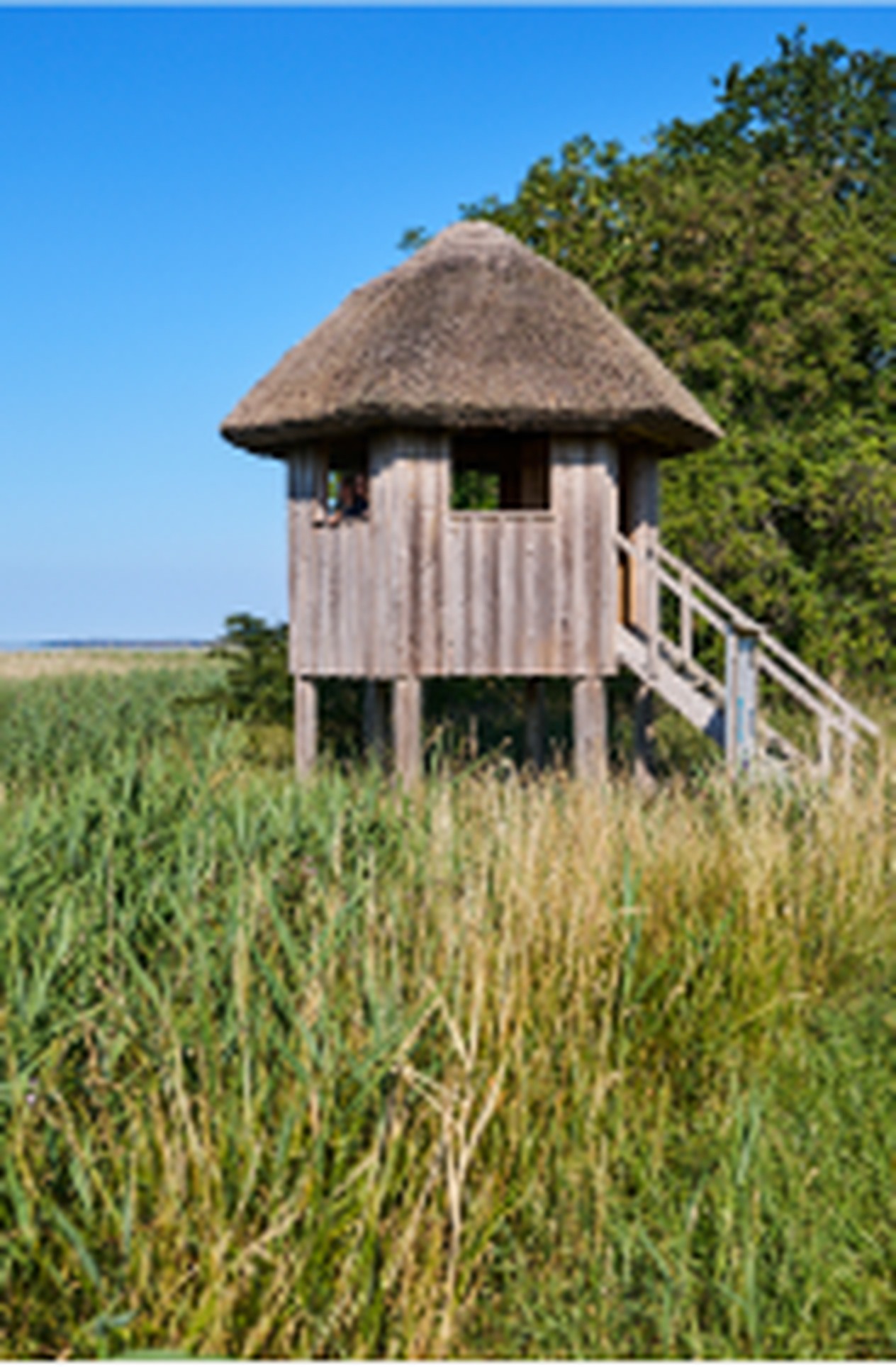 Aussichtsturm in der Schaproder Landschaft