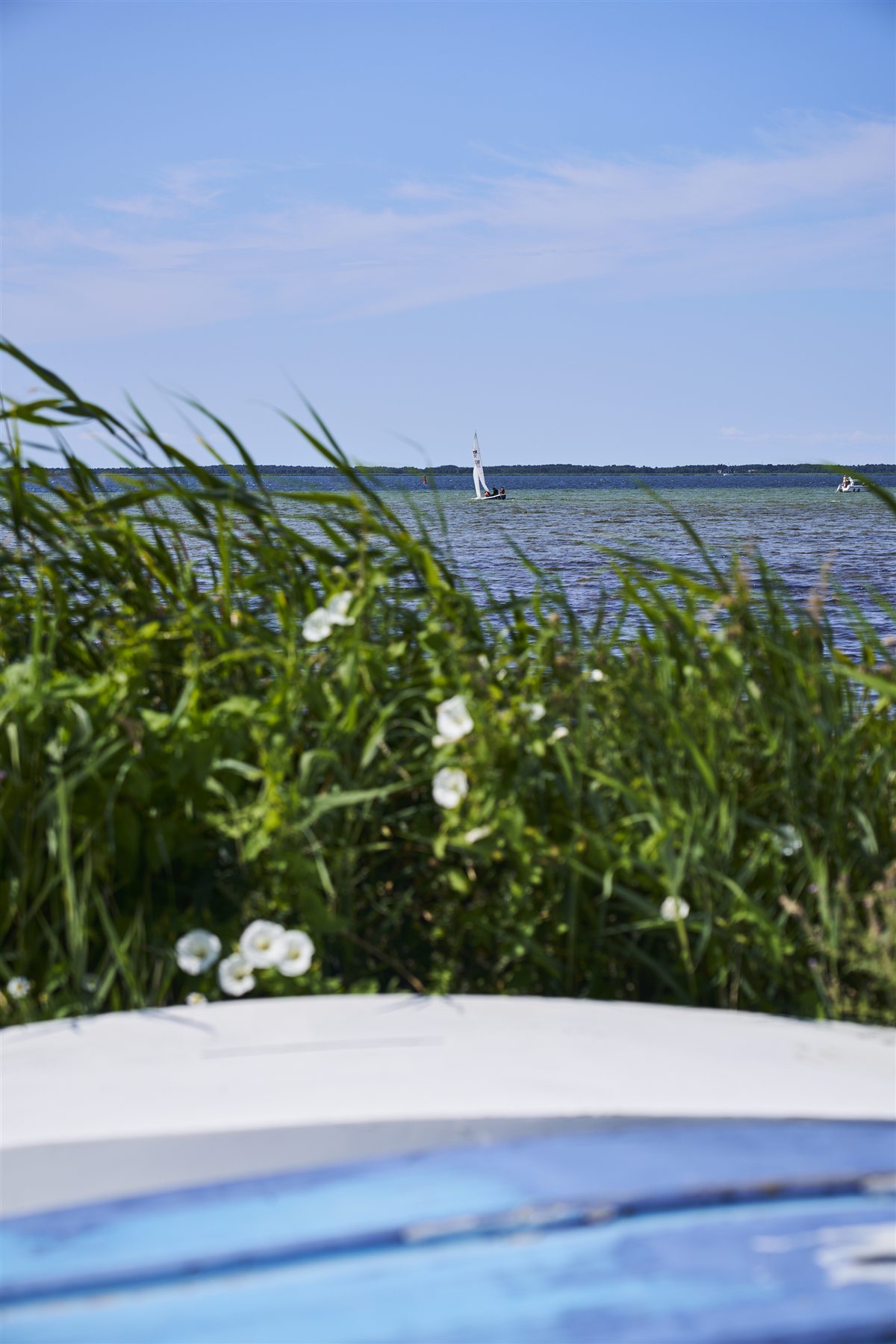 Wikinger Surf